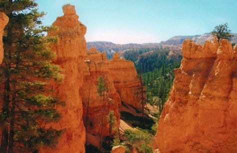While one can admire the hoodoos from above, it is truly incredible to walk among them.