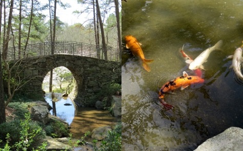 The Bridge of the Full Moon and the koi pond in the Garden of the Pine Wind.