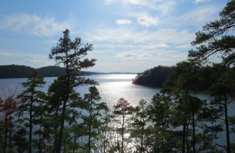 The serene Lake Ouachita from the Point 50 Overlook on the Caddo Bend Trail.