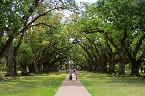 The aptly named Oak Alley Plantation on the Great River Road.